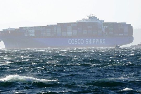 Vận tải biển: Cổ phiếu giảm, doanh thu tăng kỷ lục