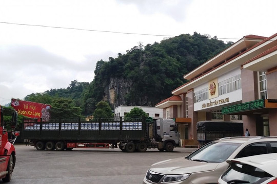 Xuất khẩu quả vải thiều tươi qua cửa khẩu Tân Thanh tăng mạnh