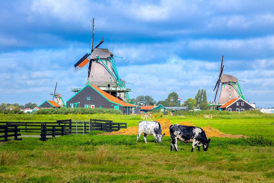 Hà Lan – lắng nghe những thanh âm yên bình của cuộc sống