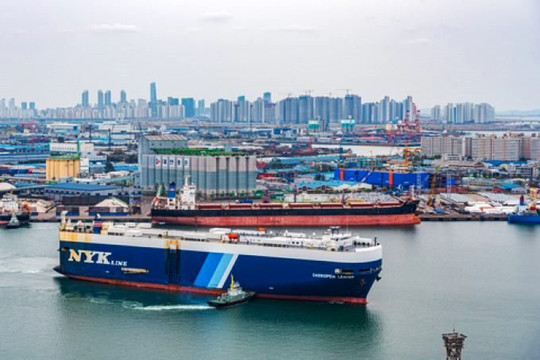 Cảng Incheon mất liên kết Nga và châu Phi khi các dịch vụ kéo MSC, PIL