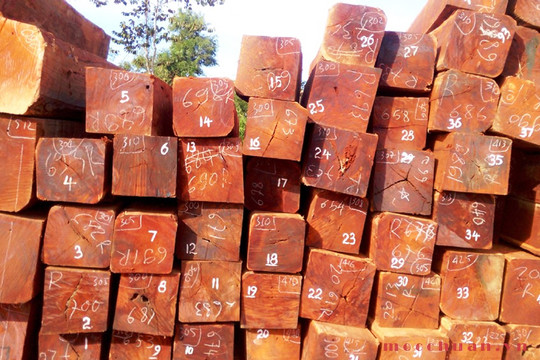 Hoa Kỳ công bố kết luận sơ bộ vụ việc gỗ dán nhập khẩu từ Việt Nam