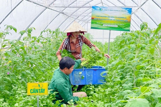 Cần hơn 265 tỷ đồng cho đề án phát triển nông nghiệp hữu cơ ở Nghệ An