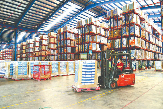 Ba Ria Vung Tau many policies to attract logistics development