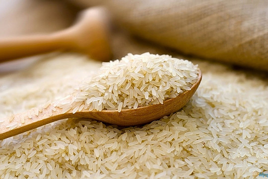 Vì sao đầu năm 2023 xuất khẩu gạo sang Trung Quốc gặp khó? (Bài 1) 