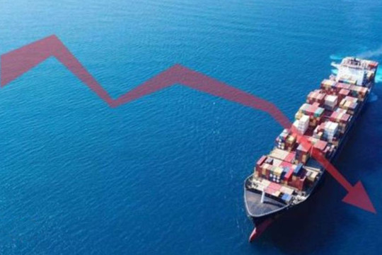 Container không hoạt động (NOO) sụt giảm đáng kể về giá thuê 