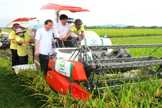 Nhiều ‘quả ngọt’ sau 2 năm xây dựng nông thôn mới tỉnh Thanh Hóa