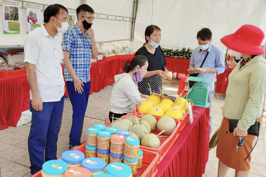 Nghệ An tổ chức Diễn đàn kết nối tiêu thụ sản phẩm nông sản vùng miền