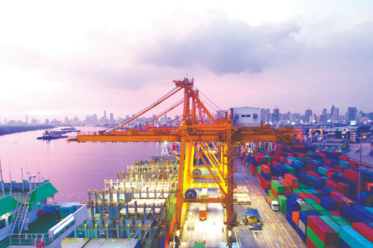 Export - import and the "burden" of logistics costs
