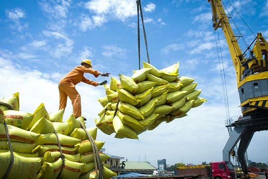 Giá gạo sẽ ra sao trước quyết định cấm xuất khẩu của Ấn Độ?
