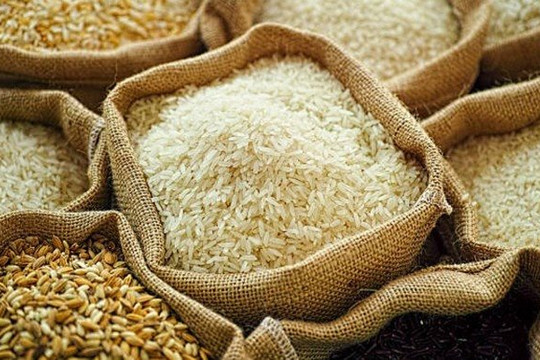 Chủ động linh hoạt điều hành xuất khẩu gạo