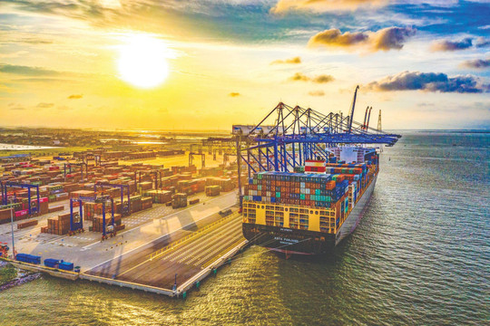 Top 10 ways to help  manage your ocean freight 