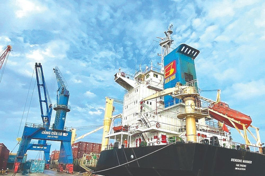 Kỳ vọng từ Nghị quyết hỗ trợ tàu container qua cảng Cửa Lò