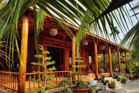 Khảo sát "Nhà Dừa Việt Nam", bước đầu quảng bá du lịch dừa ra thế giới 