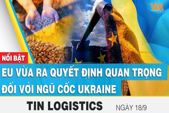 Đâu sẽ là trung tâm logistics lớn nhất tại Việt Nam?