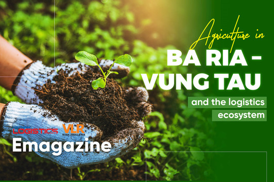 Agriculture in Ba Ria – Vung Tau and the logistics ecosystem
