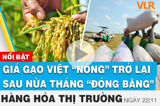Giá gạo Việt “nóng” trở lại sau nửa tháng “đóng băng” 