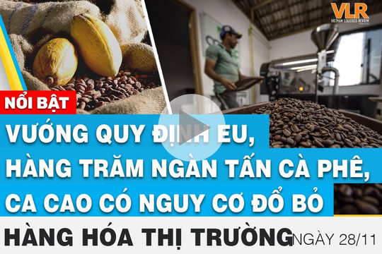 Doanh nghiệp Việt mạnh tay đầu tư công nghệ, tiết giảm chi phí logistics

