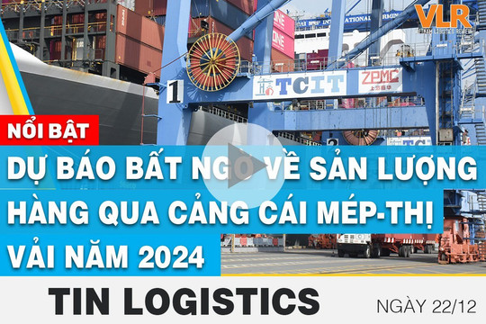 Vận tải biển Việt Nam vật lộn với luật môi trường mới của EU