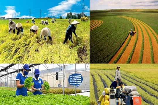 TPHCM đẩy mạnh thay đổi tư duy sản xuất nông nghiệp sang kinh tế nông nghiệp