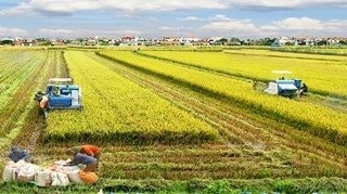 Gỡ khó cho sản xuất và chế biến nông, thủy sản tại Cần Thơ