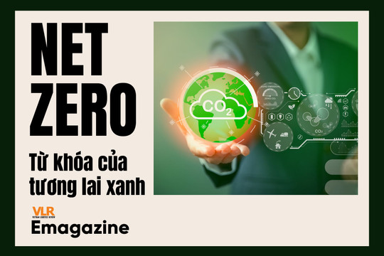 NET ZERO – Từ khóa của tương lai xanh