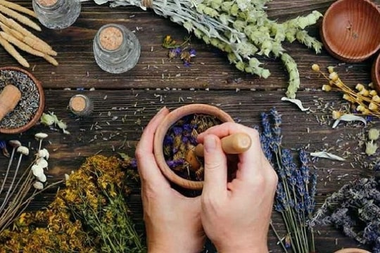 Phép màu với bệnh nhân ung thư trực tràng và hy vọng ở cây thuốc Việt Nam