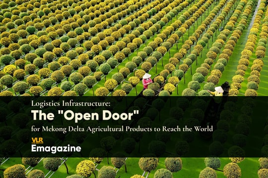 Logistics Infrastructure: The "Open Door" for Mekong Delta Agricultural Products to Reach the World