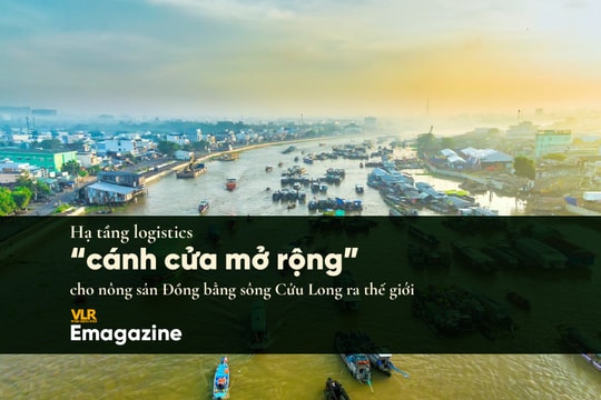 Hạ tầng logistics, “cánh cửa mở rộng” cho nông sản Đồng bằng sông Cửu Long ra thế giới