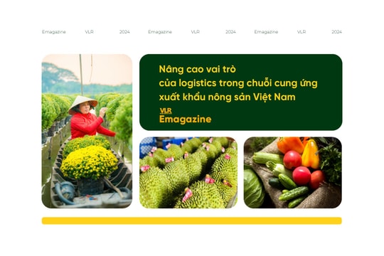 Nâng cao vai trò của logistics trong chuỗi cung ứng xuất khẩu nông sản Việt Nam