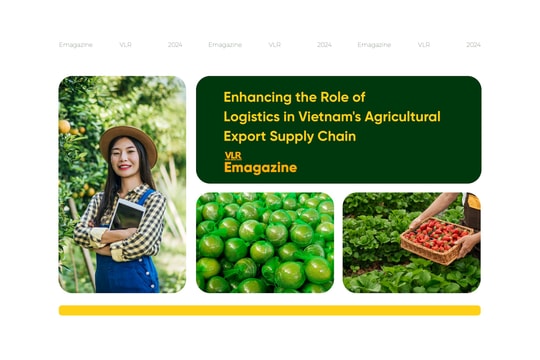 Enhancing the Role of Logistics in Vietnam's Agricultural Export Supply Chain