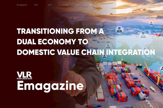 Transitioning from a Dual Economy to Domestic Value Chain Integration