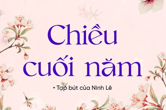 Chiều cuối năm