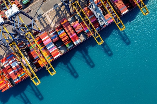 Restructuring of Shipping Alliances in 2025: Impacts on the Vietnamese Market