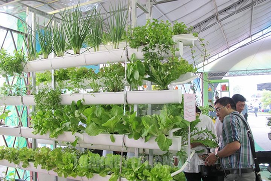 TPHCM mở rộng vùng sản xuất phát triển giống và nông nghiệp công nghệ cao