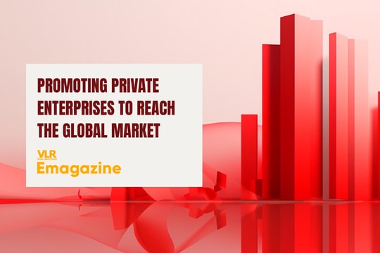 Promoting Private Enterprises to Reach the Global Market