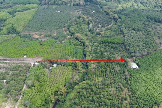 Nghiên cứu, rà soát kỹ phương án đầu tư đường kết nối Bình Phước - Đồng Nai qua cầu Mã Đà