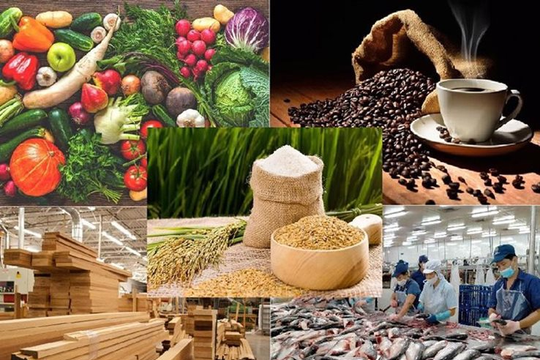 Tập trung chỉ đạo bảo đảm sản xuất, tiêu thụ, xuất khẩu nông lâm thủy sản trong bối cảnh biến động thương mại toàn cầu