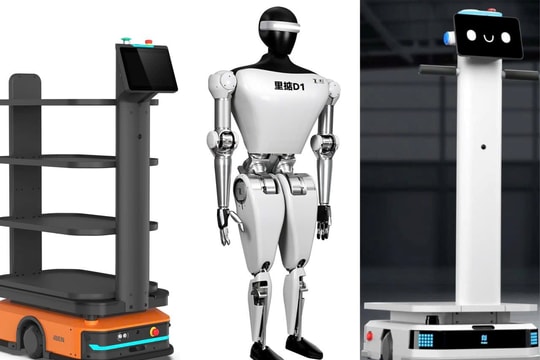 Guangzhou 2025: A Global Arena for Logistics Technology and Intelligent Robotics