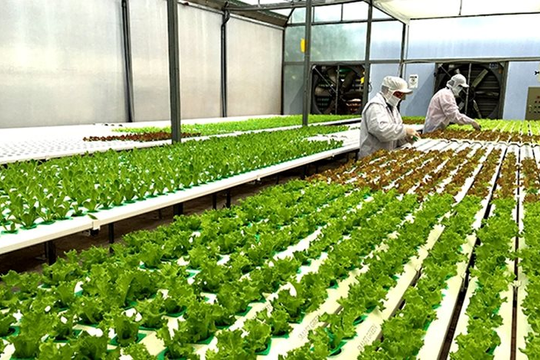Chính sách tín dụng phục vụ phát triển nông nghiệp, nông thôn được sửa đổi, bổ sung một số điều