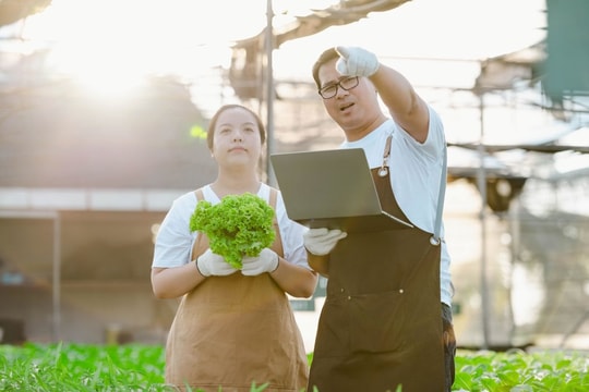 Logistics and Agricultural Supply Chains in Southeast Asia: Solutions for Sustainable Supply Chains