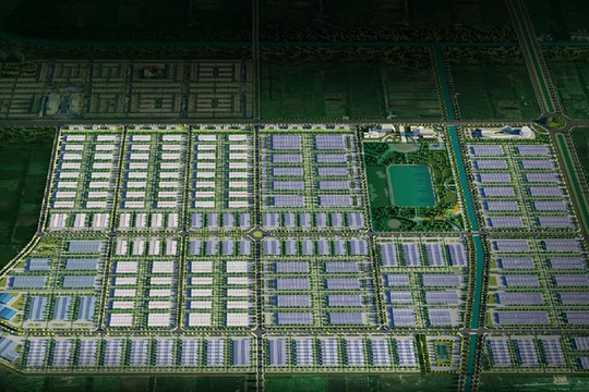 Prodezi lọt Top 50 Doanh nghiệp Phát triển Bền vững 2025