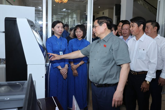 Xây dựng thương hiệu lúa gạo Việt Nam