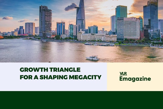 Growth Triangle for a Shaping Megacity