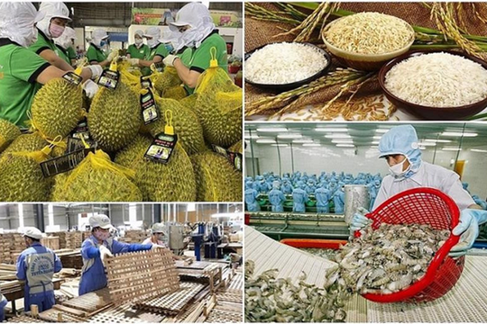Tăng cường truy xuất nguồn gốc sản phẩm nông, lâm, thủy sản Việt Nam xuất khẩu 