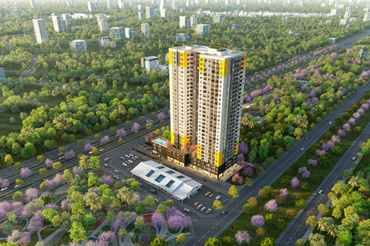 Bcons hợp tác cùng đối tác Nhật Bản