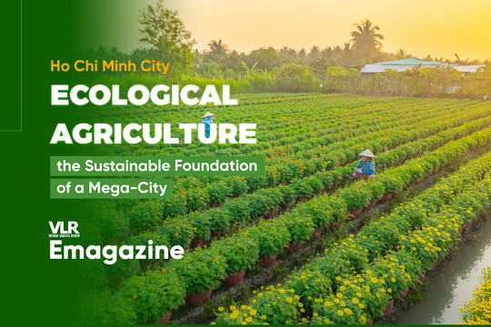 Ho Chi Minh City: Ecological Agriculture, the Sustainable Foundation of a Mega-City