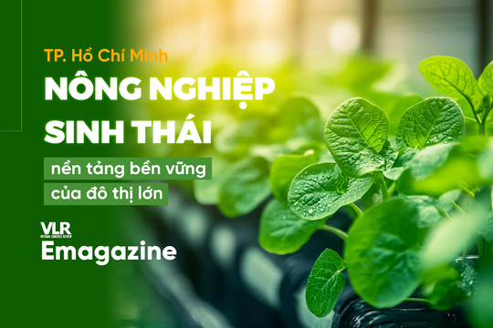 TP. Hồ Chí Minh: Nông nghiệp sinh thái, nền tảng bền vững của đô thị lớn