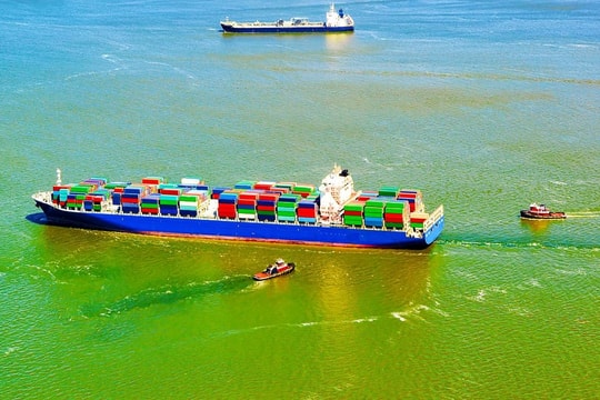 Gemini’s “90% On-Time” — A Promise Amid the Red Sea Swell