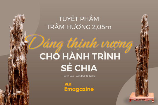 Tuyệt phẩm trầm hương 2,05 m: dáng thịnh vượng cho hành trình sẻ chia