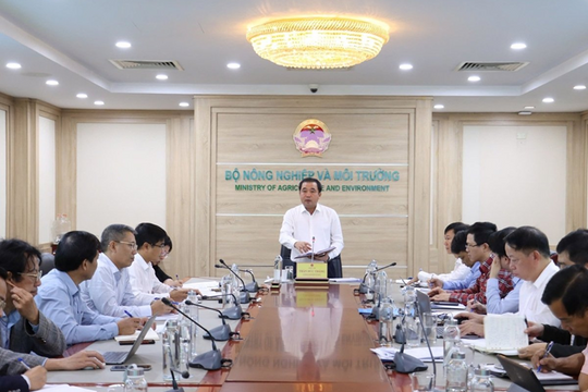 Ba lĩnh vực kiến tạo nền dữ liệu số phục vụ phát triển bền vững